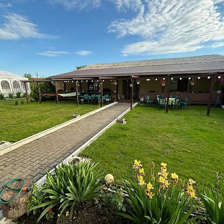 Вилла Gigios Sport&Relax Bailesti Экстерьер фото