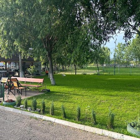 Вилла Gigios Sport&Relax Bailesti Экстерьер фото
