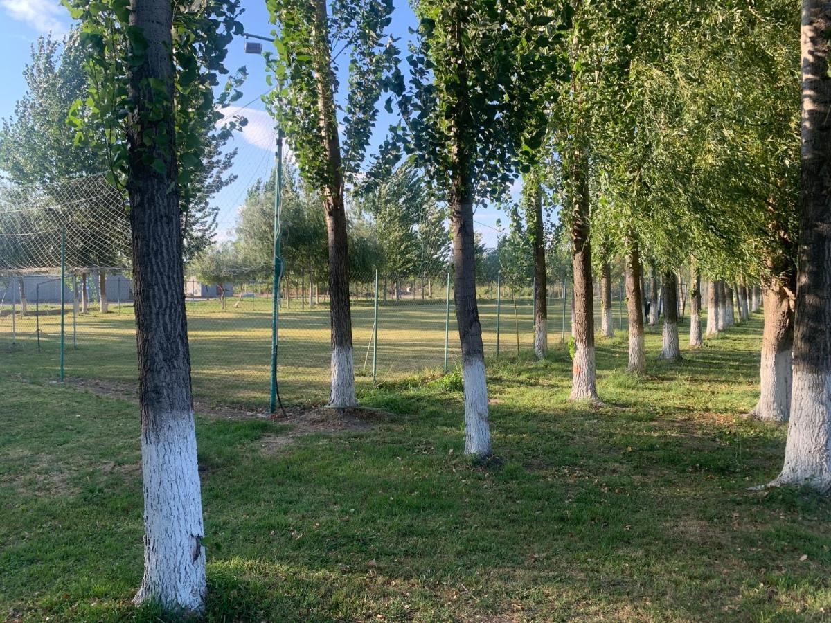 Вилла Gigios Sport&Relax Bailesti Экстерьер фото