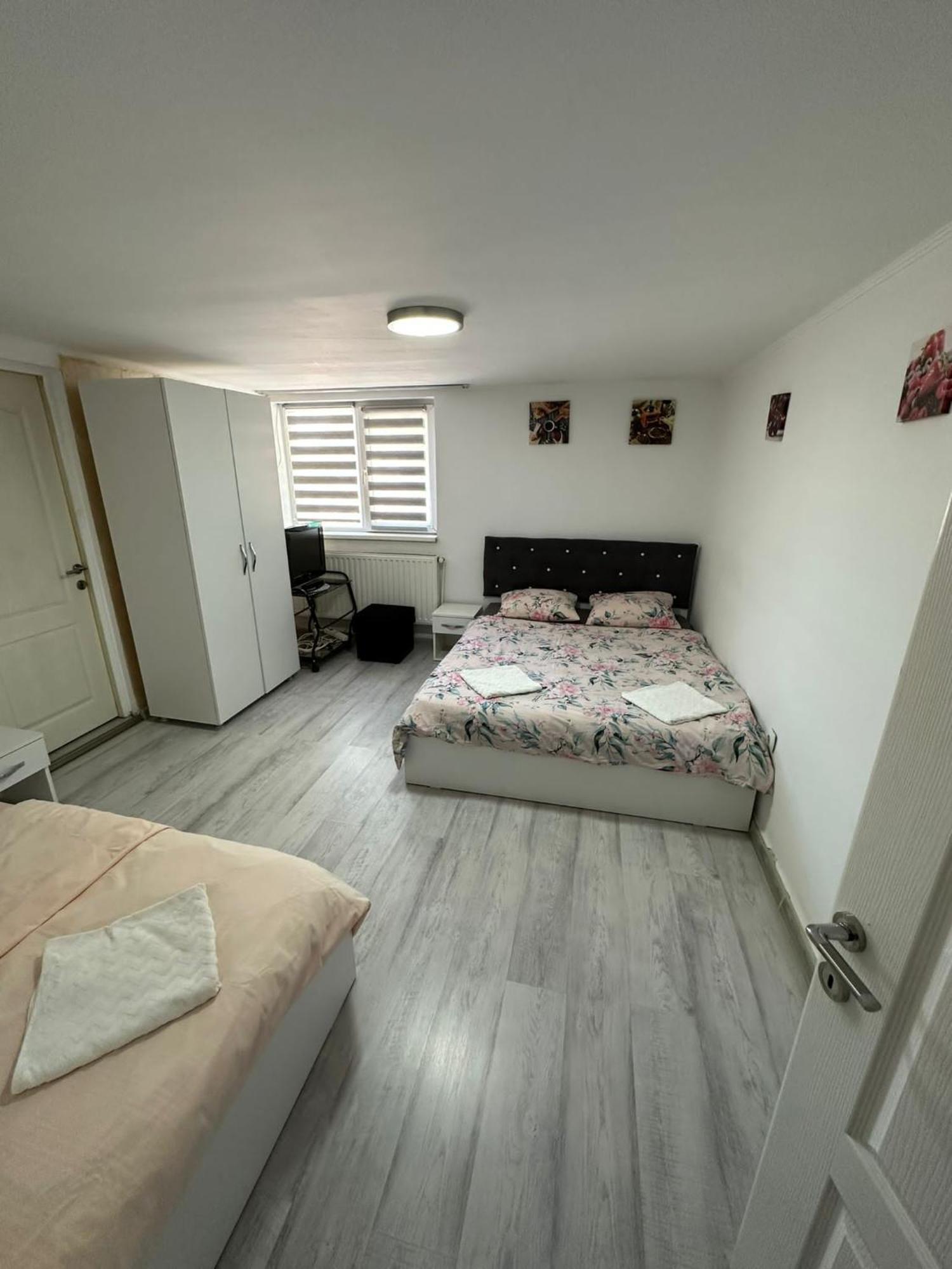 Вилла Gigios Sport&Relax Bailesti Экстерьер фото