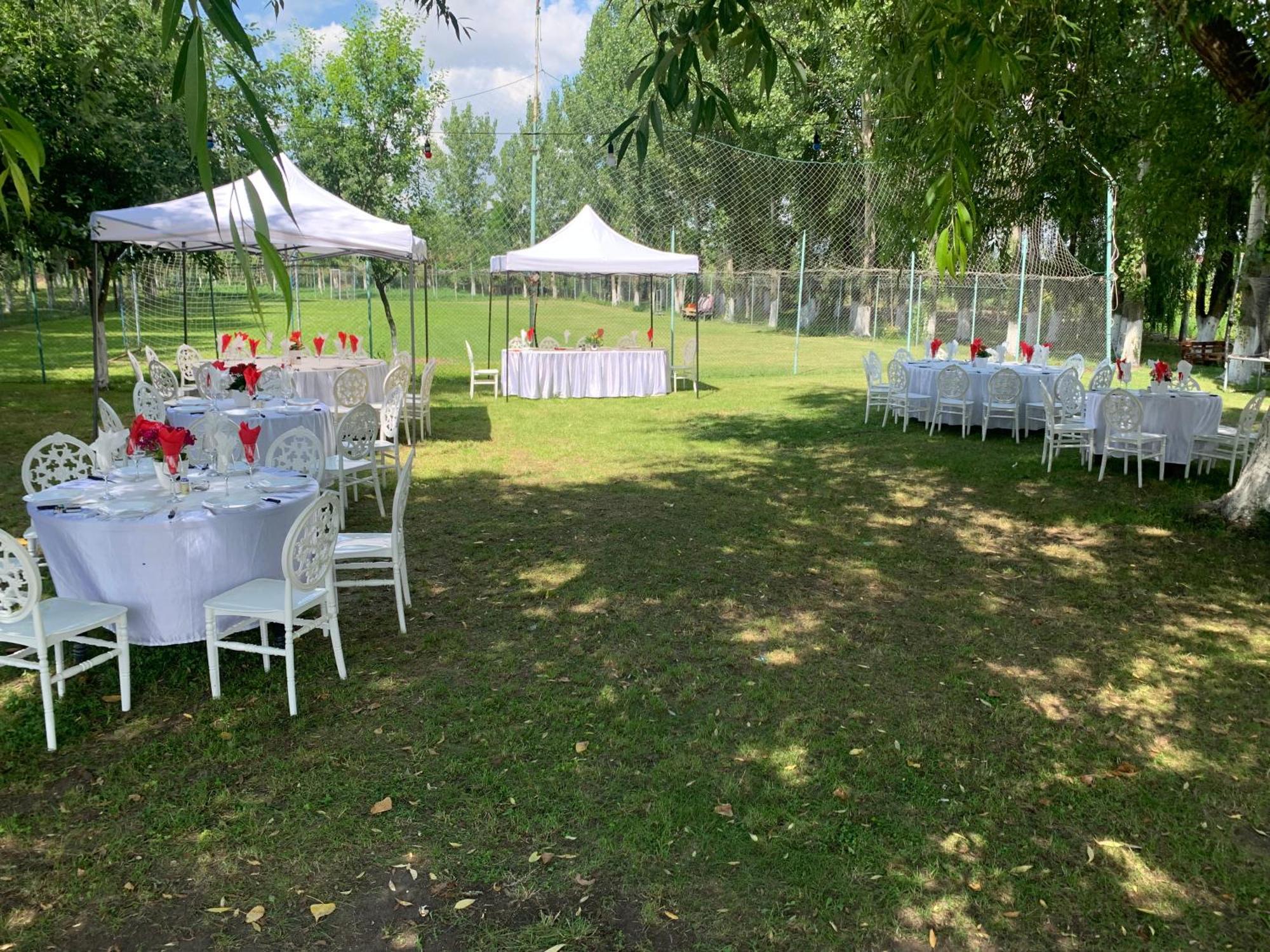 Вилла Gigios Sport&Relax Bailesti Экстерьер фото