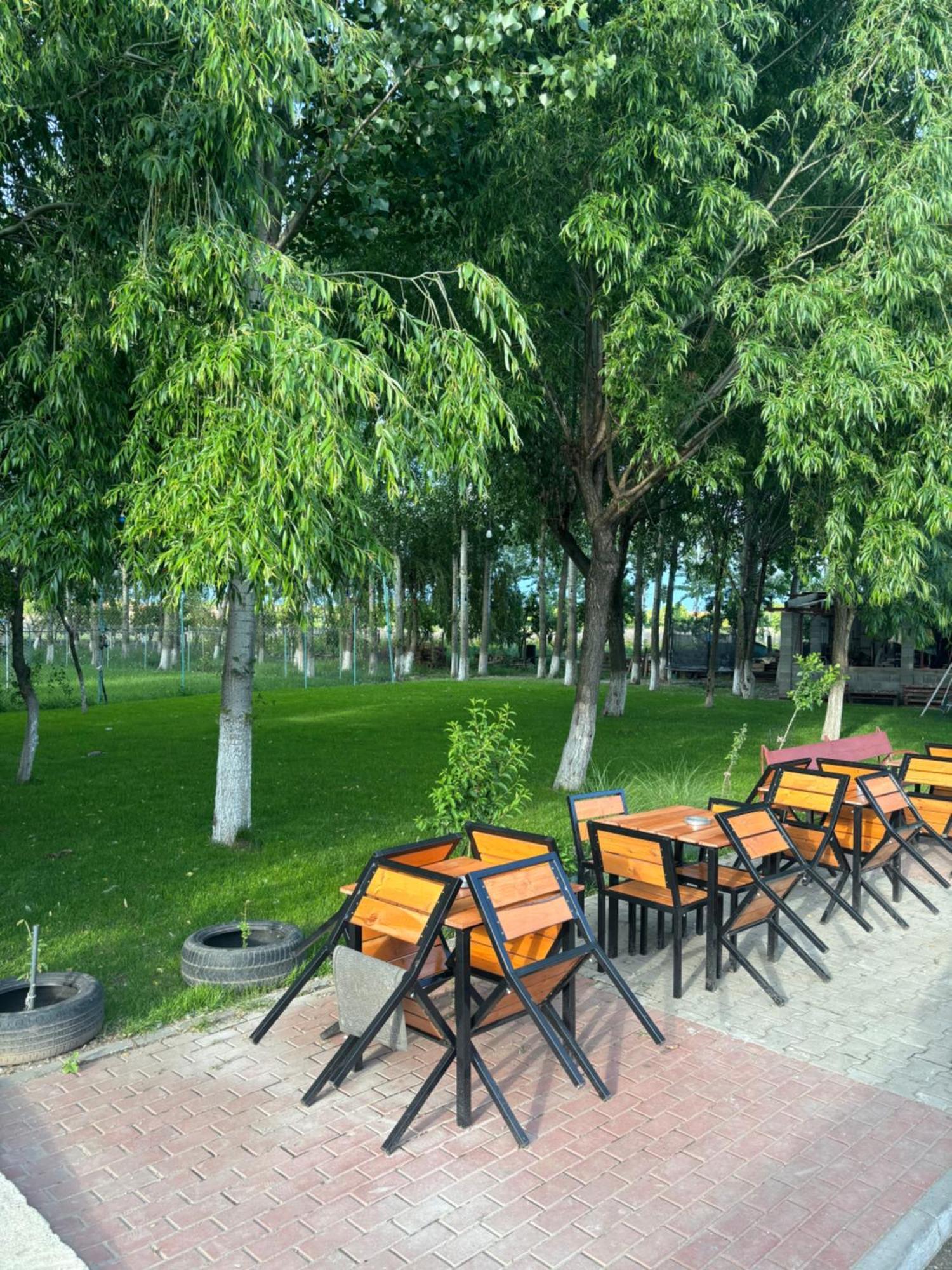 Вилла Gigios Sport&Relax Bailesti Экстерьер фото