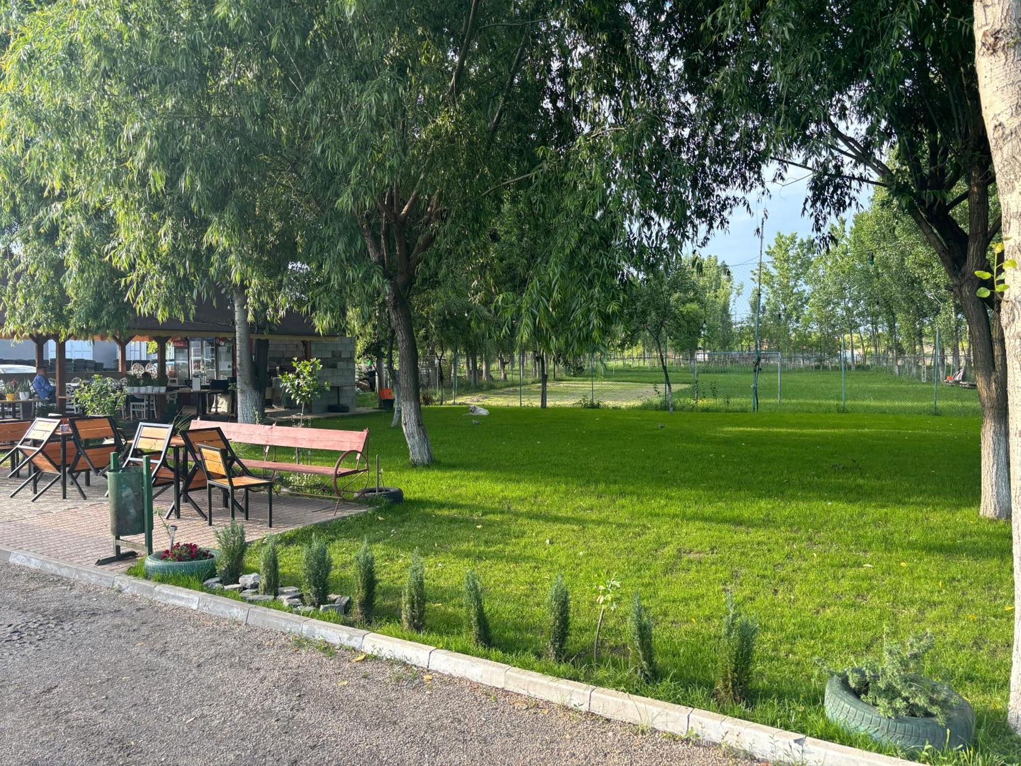 Вилла Gigios Sport&Relax Bailesti Экстерьер фото